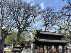 -护国法轮寺