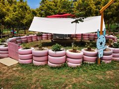 -紫颐香薰山谷景区