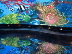 -唐宫足道·SPA·住宿24H会所(木渎店)