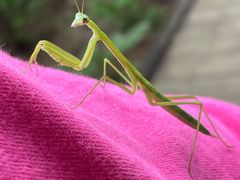 -云峰山自然风景区