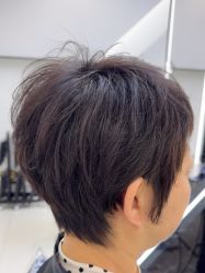 -FINE HAIR 烫染专业设计