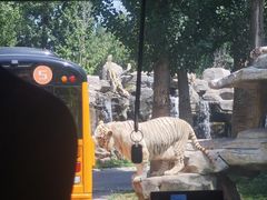 -北京野生动物园