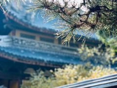 -龙华寺