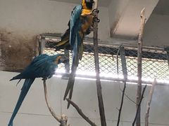 -西安秦岭野生动物园