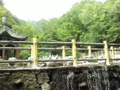 -王顺山国家森林公园