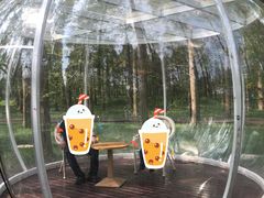 -黄海国家森林公园