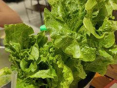 -炽城·烤肉名家(鸿达中央广场店)