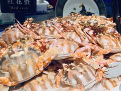 -加餐海鲜自助(宝龙一城店)
