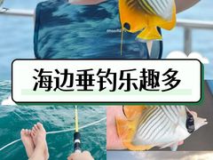 -小猫钓鱼海钓俱乐部(椰梦长廊店)