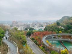 -福道