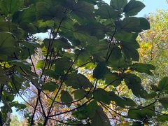 -三门江国家森林公园