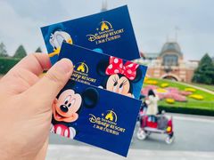 -上海迪士尼度假区