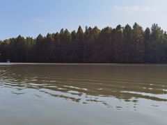 -上海海湾国家森林公园