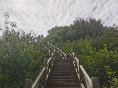 -大岭沟猕猴桃谷风景区