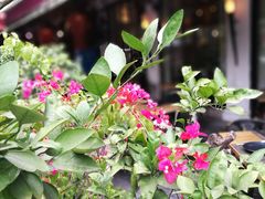 -Wagas沃歌斯(大学路店)