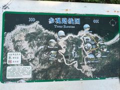 -广东惠东海龟国家级自然保护区