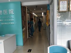 -美迦爱-牙专科·兔科·骨科诊疗中心(北苑店)