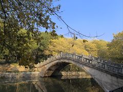 -刘氏特色老鹅汤(文鑫苑店)