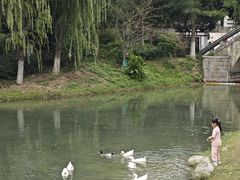 -武汉园博园(武汉自然博物馆)