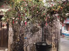 -和平菓局(王府井店)