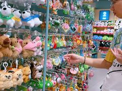 -畹町(住总万科店)
