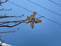 -姥家大锅台水库渔家