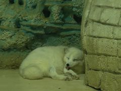 -华夏文旅西安度假区