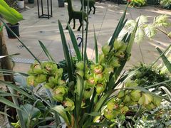 -国家植物园南园