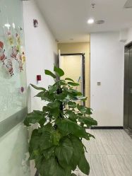 点击看大图 -悟空祛痘·亚健康皮肤管理中心