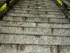 -汤旺河林海奇石景区