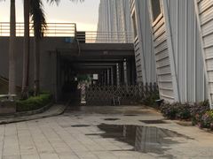 -奥林匹克体育中心游泳馆