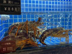 -徐记海鲜(大明宫|北二环店)