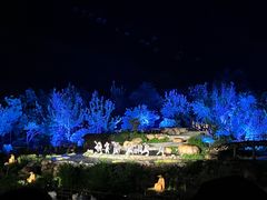 -禅宗少林·音乐大典