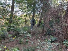 -青龙山国家森林公园