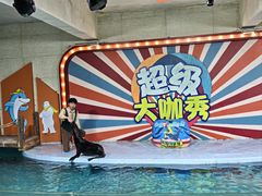-南昌海洋公园