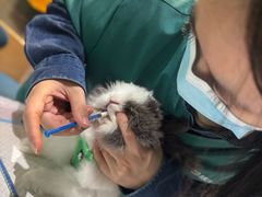 -雨林宠物医院 非犬猫异宠专科