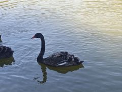 -喜家德虾仁水饺(金融中心店)