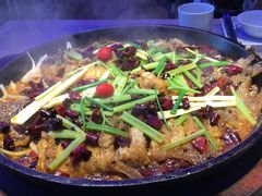 -老板恋上鱼(恒隆广场店)