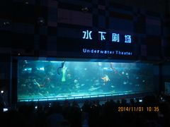 -泉城欧乐堡海洋极地世界