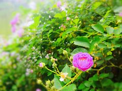 -包公祠