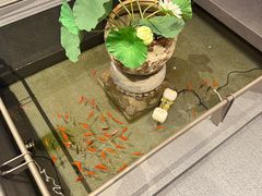 -单家老院·院子里的青岛菜(沙子口店)