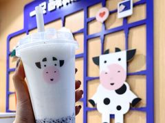 -一只酸奶牛(八一路店)