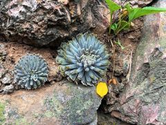 -北京山里寒舍度假酒店