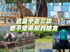 -深圳野生动物园