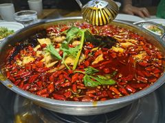 -蛙蛙鸡冷锅鱼(驷马桥店)