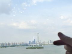 -洄归山也·高空C位湖景下午茶(东方之门店)