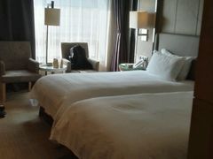 -上海中航虹桥机场泊悦酒店