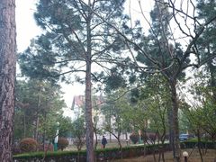 -石棉县人民医院(主院区)