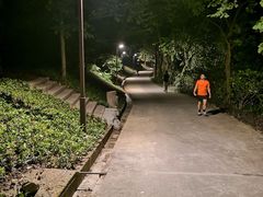 -南岗山公园