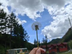 -苏木山森林公园